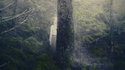 The Isle izle