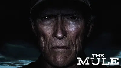 The Mule 2018 izle