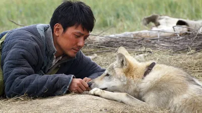 Wolf Totem izle