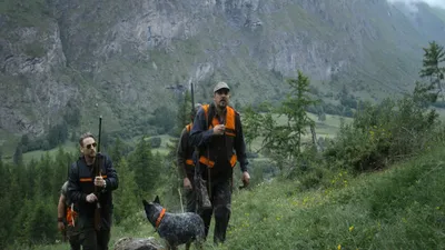 The Hunt izle