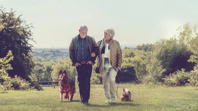 23 Yürüyüş izle