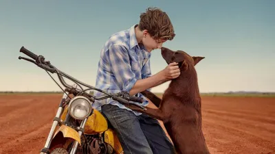 Red Dog True Blue izle