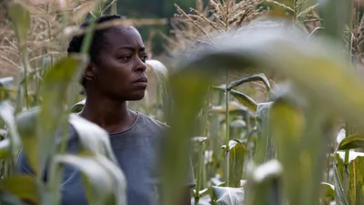 40 Acres izle
