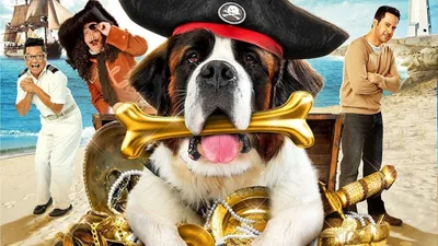 Afacan Köpek Beethoven izle