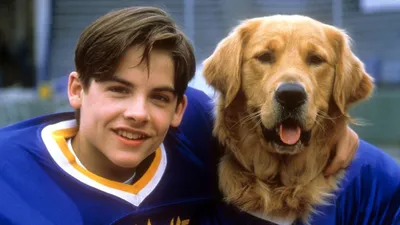 Air Bud: Golden Receiver izle