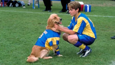 Air Bud: World Pup izle