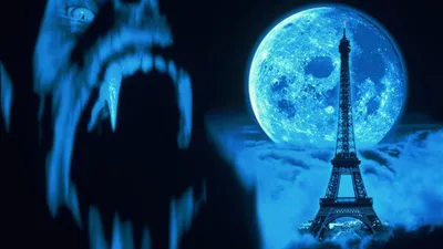 Kurt Adam Paris'te izle