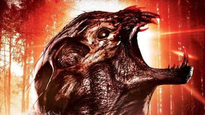 Animal izle