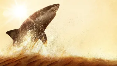 Attack of the Red Sea Sharks izle