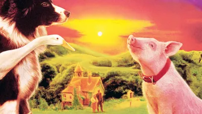 Bebe izle
