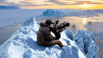 Bear Witness izle