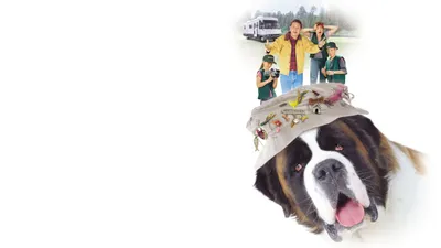 Afacan Köpek Beethoven 3 izle