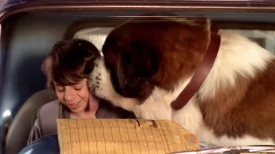 Beethoven: Kırmızı Halıda izle