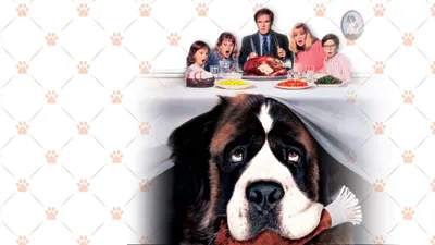 Afacan Köpek Beethoven izle