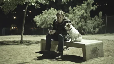 Aşkın Halleri izle