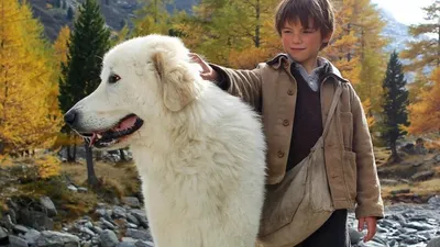 Belle and Sebastian izle