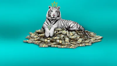 Beyaz Kaplan - The White Tiger izle