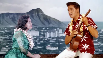 Mavi Hawai Geceleri izle