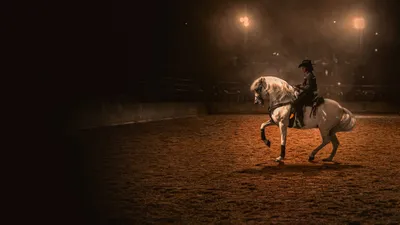 Centurion The Dancing Stallion izle