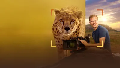 Cheetahs Up Close with Bertie Gregory izle