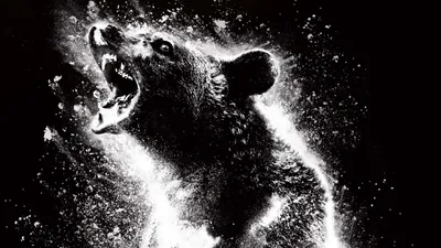 Cocaine Bear izle