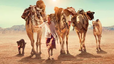 Çöldeki izle
