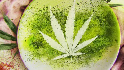 Cooked With Cannabis izle