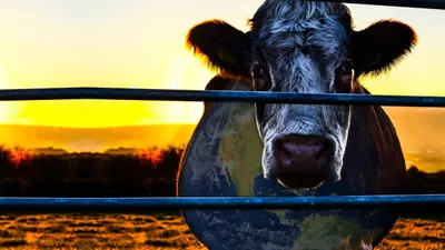 Cowspiracy : Sürdürülebilirliğin Sırrı izle