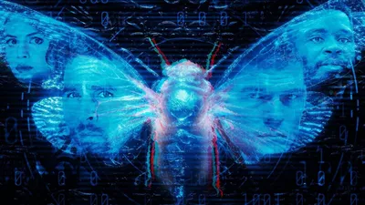 Dark Web: Cicada 3301 izle