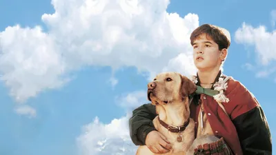 Evden Uzakta: Sarı Köpeğin Maceraları izle