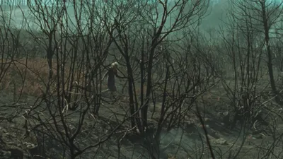 Fire Will Come izle