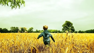 Bahçemdeki Ateşböcekleri izle