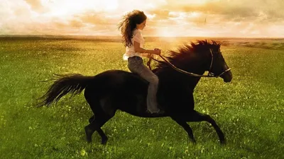 Flicka izle