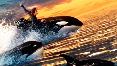 Özgür Willy 2 izle