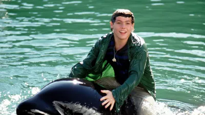 Özgür Willy 3 izle