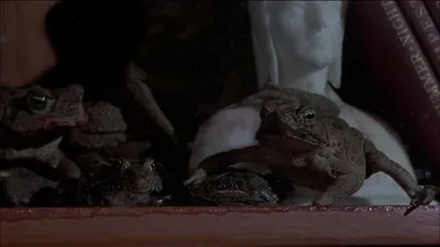 Frogs izle