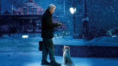 Hachiko Bir Köpegin Hikayesi izle