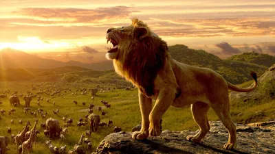 Aslan Kral izle