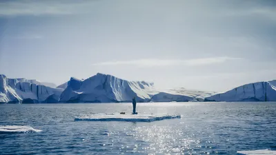 Ice Skater izle