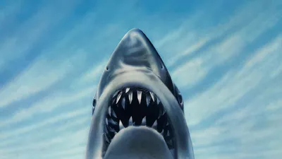 Jaws 3 izle