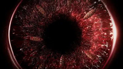 Joko Anwars Nightmares and Daydreams izle