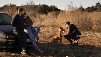 Junkyard Dog izle
