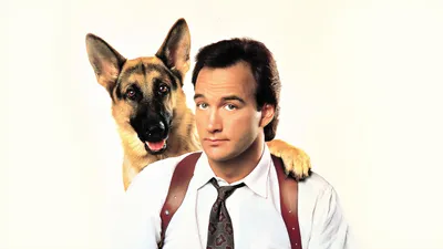 K-9 izle