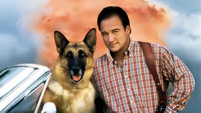 K-911 izle