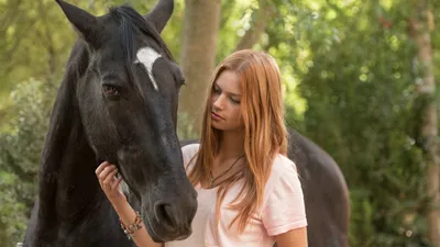 Kasırga 3 izle