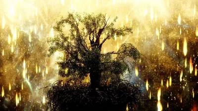 Kaynak izle