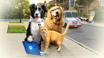 Kediler ve Köpekler 3 Pati Birliği izle