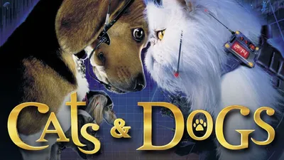 Kediler ve Köpekler izle