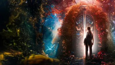 Bay Kleksin Akademisi izle