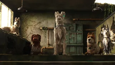 Köpek Adası izle